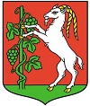 herb lublina